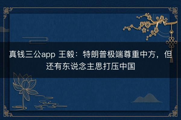 真钱三公app 王毅：特朗普极端尊重中方，但还有东说念主思打压中国