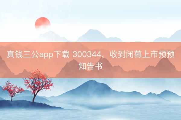 真钱三公app下载 300344，收到闭幕上市预预知告书