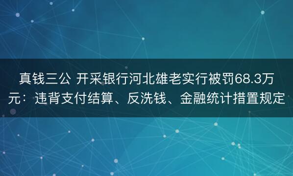 真钱三公 开采银行河北雄老实行被罚68.3万元:违背支付结算、反洗钱、金融统计措置规定