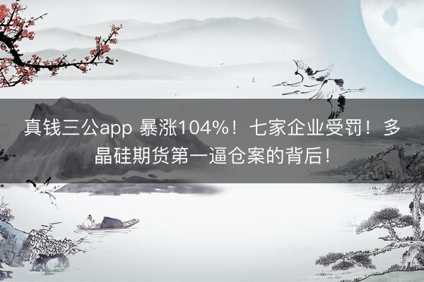 真钱三公app 暴涨104%!七家企业受罚!多晶硅期货第一逼仓案的背后!