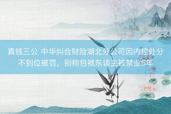 真钱三公 中华纠合财险湖北分公司因内控处分不到位被罚，别称包袱东谈主被禁业5年