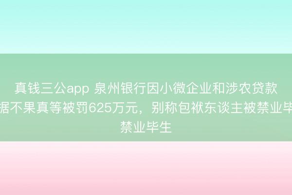 真钱三公app 泉州银行因小微企业和涉农贷款数据不果真等被罚625万元，别称包袱东谈主被禁业毕生