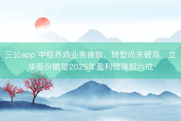 三公app 中枢养鸡业务疲软，转型尚未破局，立华股份瞻望2025年盈利骤降超六成