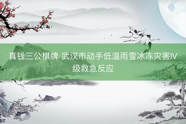 真钱三公棋牌 武汉市动手低温雨雪冰冻灾害IV级救急反应