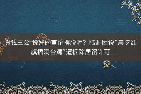 真钱三公 说好的言论摆脱呢？陆配因说“晨夕红旗插满台湾”遭拆除居留许可