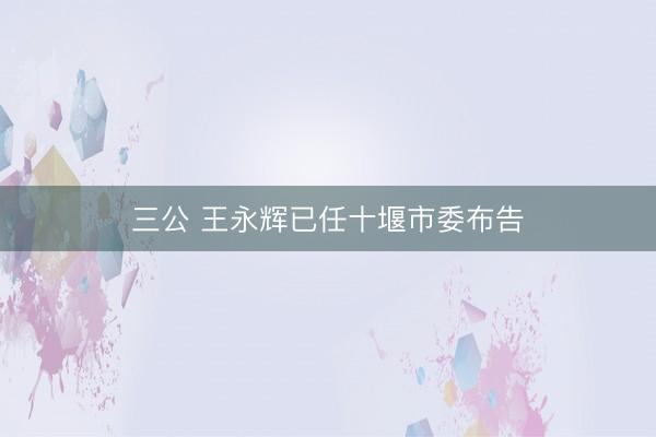 三公 王永辉已任十堰市委布告