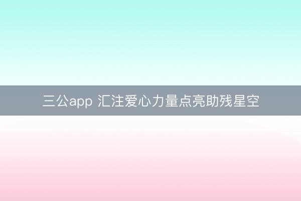 三公app 汇注爱心力量点亮助残星空