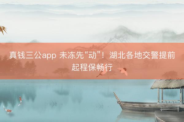 真钱三公app 未冻先“动”！湖北各地交警提前起程保畅行