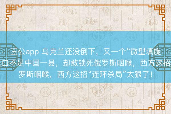 三公app 乌克兰还没倒下，又一个“微型填旋”冲向前台！东谈主口不足中国一县，却敢锁死俄罗斯咽喉，西方这招“连环杀局”太狠了！