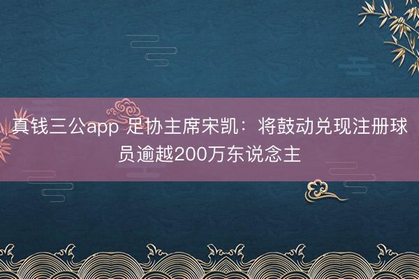 真钱三公app 足协主席宋凯：将鼓动兑现注册球员逾越200万东说念主
