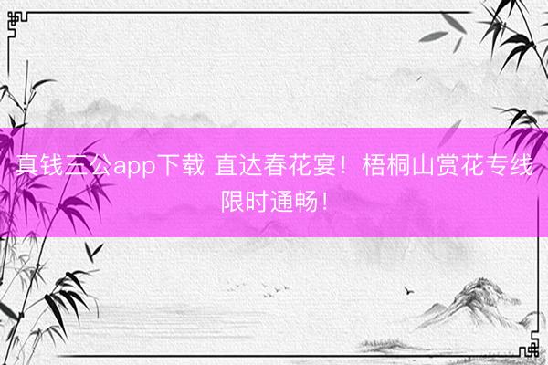 真钱三公app下载 直达春花宴！梧桐山赏花专线限时通畅！