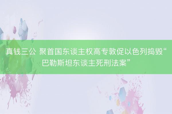 真钱三公 聚首国东谈主权高专敦促以色列捣毁“巴勒斯坦东谈主死刑法案”
