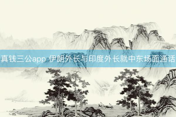 真钱三公app 伊朗外长与印度外长就中东场面通话