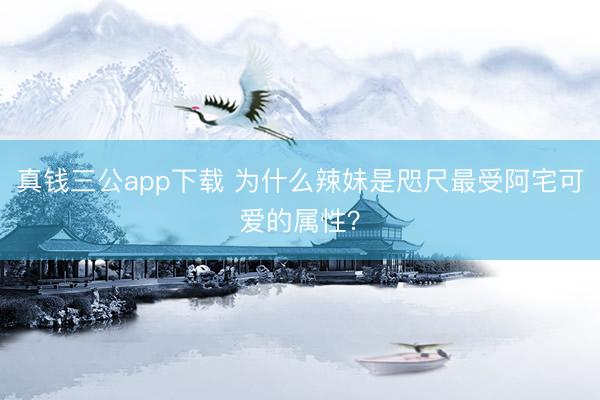 真钱三公app下载 为什么辣妹是咫尺最受阿宅可爱的属性？