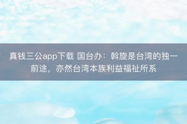 真钱三公app下载 国台办：斡旋是台湾的独一前途，亦然台湾本族利益福祉所系
