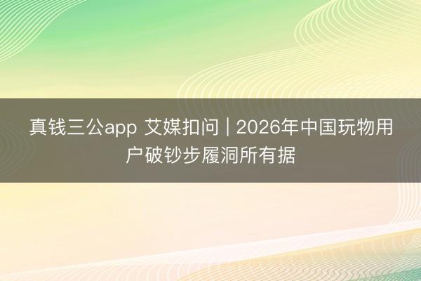 真钱三公app 艾媒扣问 | 2026年中国玩物用户破钞步履洞所有据