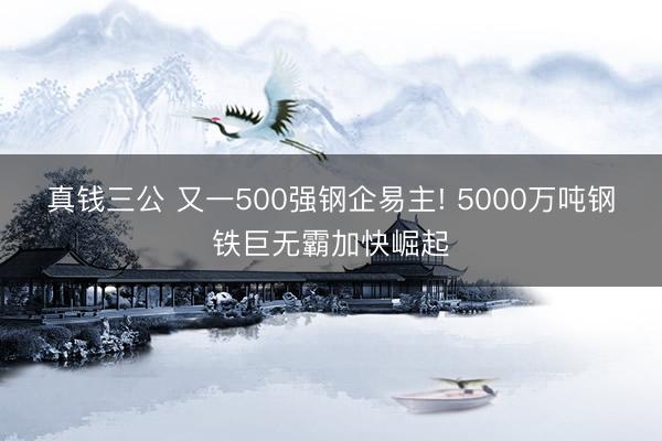 真钱三公 又一500强钢企易主! 5000万吨钢铁巨无霸加快崛起