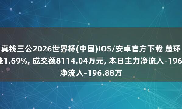 真钱三公2026世界杯(中国)IOS/安卓官方下载 楚环科技涨1.69%， 成交额8114.04万元， 本日主力净流入-196.88万