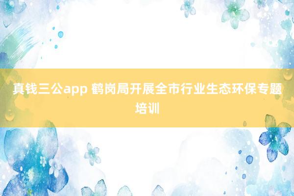 真钱三公app 鹤岗局开展全市行业生态环保专题培训