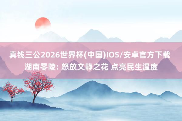 真钱三公2026世界杯(中国)IOS/安卓官方下载 湖南零陵: 怒放文静之花 点亮民生温度
