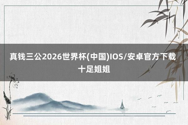 真钱三公2026世界杯(中国)IOS/安卓官方下载 十足姐姐