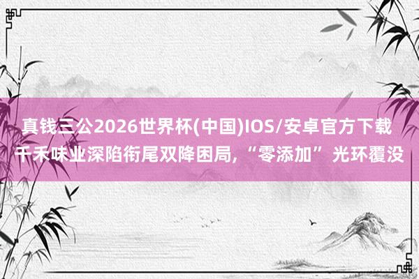真钱三公2026世界杯(中国)IOS/安卓官方下载 千禾味业深陷衔尾双降困局， “零添加” 光环覆没
