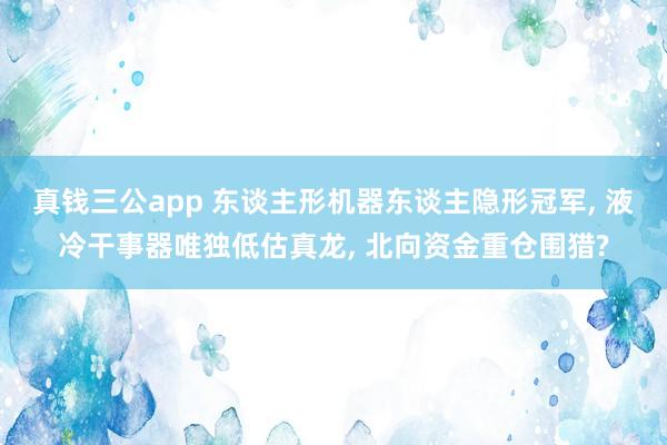 真钱三公app 东谈主形机器东谈主隐形冠军， 液冷干事器唯独低估真龙， 北向资金重仓围猎?
