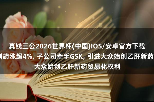 真钱三公2026世界杯(中国)IOS/安卓官方下载 中国生物制药涨超4%， 子公司牵手GSK， 引进大众始创乙肝新药贸易化权利
