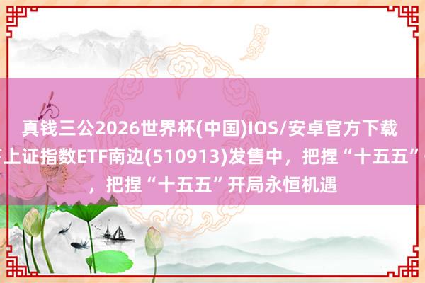 真钱三公2026世界杯(中国)IOS/安卓官方下载 南边基金旗下上证指数ETF南边(510913)发售中，把捏“十五五”开局永恒机遇
