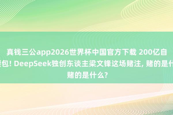 真钱三公app2026世界杯中国官方下载 200亿自掏腰包! DeepSeek独创东谈主梁文锋这场赌注， 赌的是什么?