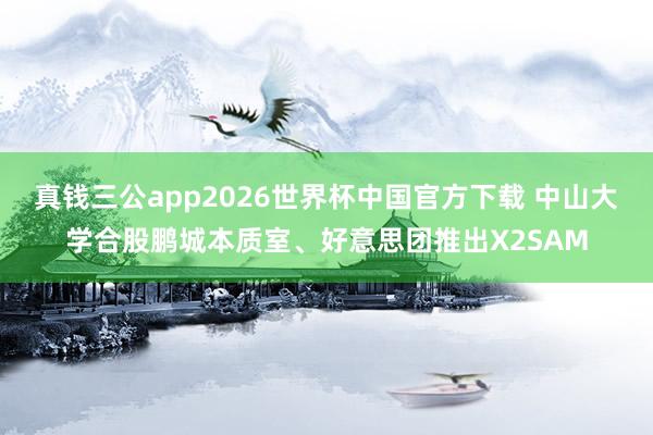 真钱三公app2026世界杯中国官方下载 中山大学合股鹏城本质室、好意思团推出X2SAM