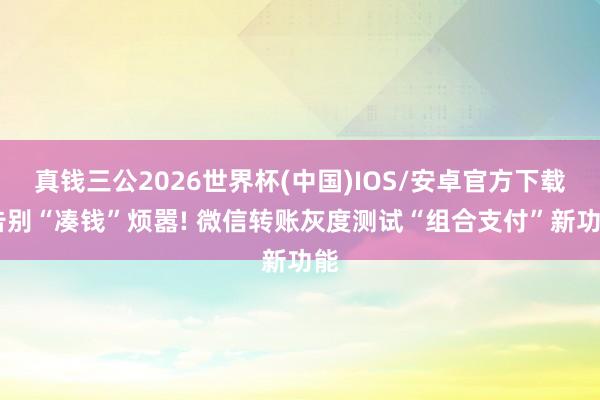 真钱三公2026世界杯(中国)IOS/安卓官方下载 告别“凑钱”烦嚣! 微信转账灰度测试“组合支付”新功能
