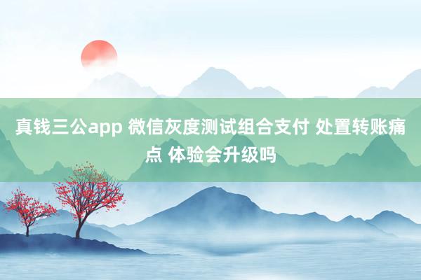真钱三公app 微信灰度测试组合支付 处置转账痛点 体验会升级吗
