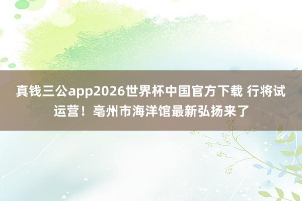 真钱三公app2026世界杯中国官方下载 行将试运营！亳州市海洋馆最新弘扬来了