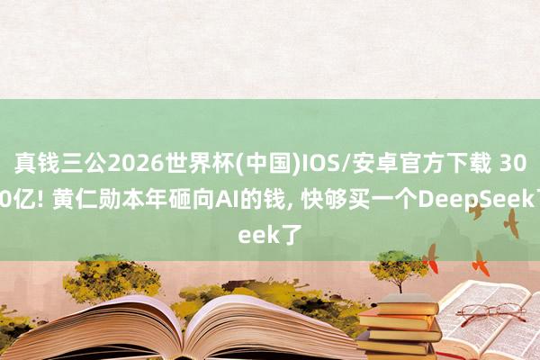 真钱三公2026世界杯(中国)IOS/安卓官方下载 3080亿! 黄仁勋本年砸向AI的钱， 快够买一个DeepSeek了