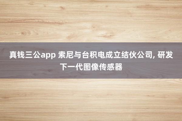 真钱三公app 索尼与台积电成立结伙公司， 研发下一代图像传感器