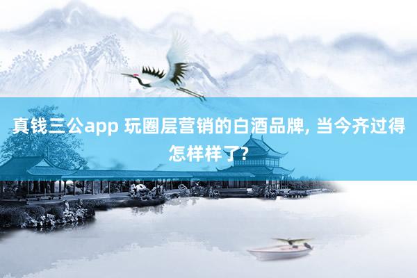 真钱三公app 玩圈层营销的白酒品牌， 当今齐过得怎样样了?