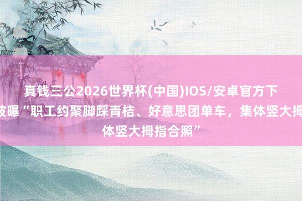 真钱三公2026世界杯(中国)IOS/安卓官方下载 哈啰被曝“职工约聚脚踩青桔、好意思团单车，集体竖大拇指合照”