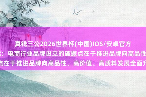 真钱三公2026世界杯(中国)IOS/安卓官方下载 京东集团副总裁吴猛：电商行业品牌设立的破题点在于推进品牌向高品性、高价值、高质料发展全面升级