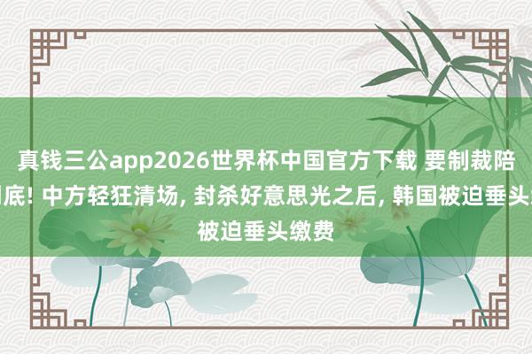 真钱三公app2026世界杯中国官方下载 要制裁陪同到底! 中方轻狂清场， 封杀好意思光之后， 韩国被迫垂头缴费