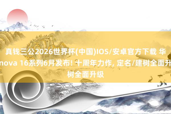真钱三公2026世界杯(中国)IOS/安卓官方下载 华为nova 16系列6月发布! 十周年力作， 定名/建树全面升级