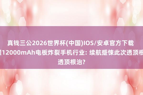 真钱三公2026世界杯(中国)IOS/安卓官方下载 荣耀12000mAh电板炸裂手机行业: 续航蹙悚此次透顶根治?