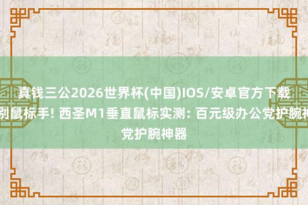 真钱三公2026世界杯(中国)IOS/安卓官方下载 告别鼠标手! 西圣M1垂直鼠标实测: 百元级办公党护腕神器