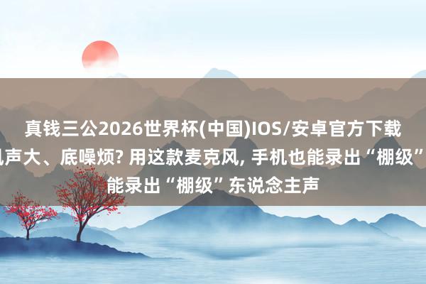 真钱三公2026世界杯(中国)IOS/安卓官方下载 环境吵、风声大、底噪烦? 用这款麦克风， 手机也能录出“棚级”东说念主声