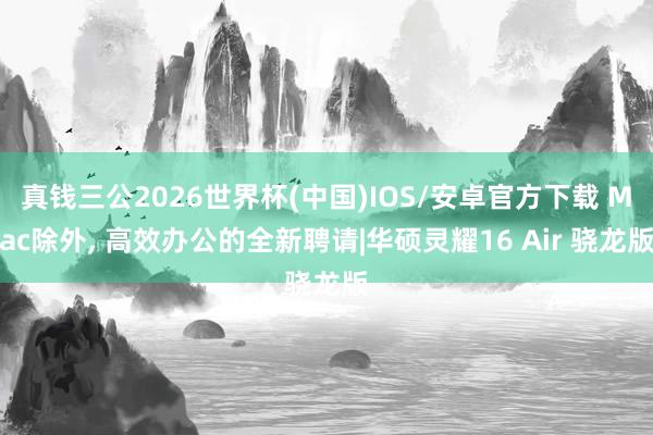 真钱三公2026世界杯(中国)IOS/安卓官方下载 Mac除外， 高效办公的全新聘请|华硕灵耀16 Air 骁龙版