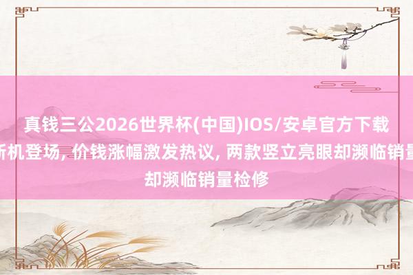 真钱三公2026世界杯(中国)IOS/安卓官方下载 4月新机登场， 价钱涨幅激发热议， 两款竖立亮眼却濒临销量检修