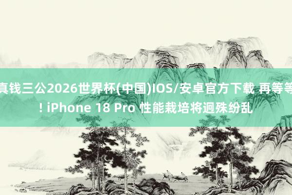 真钱三公2026世界杯(中国)IOS/安卓官方下载 再等等! iPhone 18 Pro 性能栽培将迥殊纷乱
