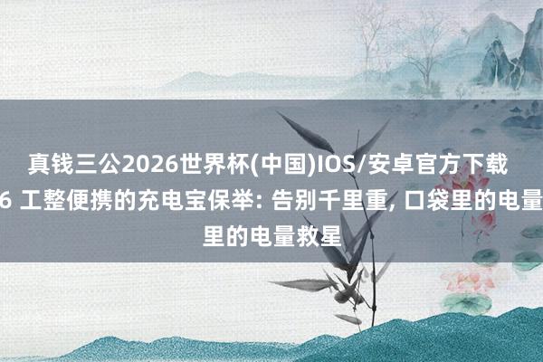 真钱三公2026世界杯(中国)IOS/安卓官方下载 2026 工整便携的充电宝保举: 告别千里重， 口袋里的电量救星
