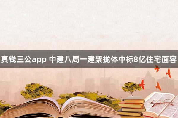 真钱三公app 中建八局一建聚拢体中标8亿住宅面容