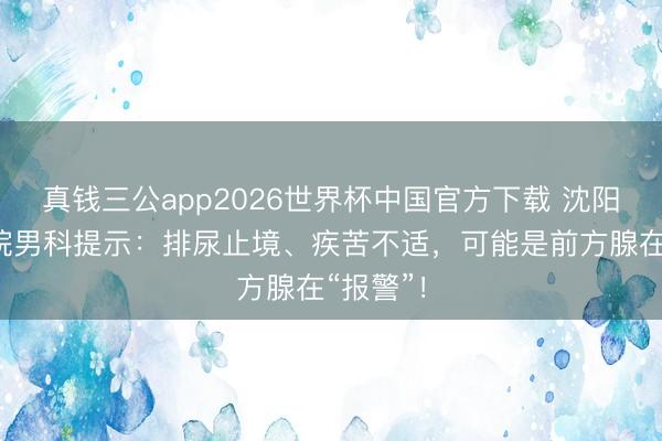真钱三公app2026世界杯中国官方下载 沈阳朝阳病院男科提示：排尿止境、疾苦不适，可能是前方腺在“报警”！